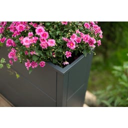 Westmann Cvetlično korito Talus - XL