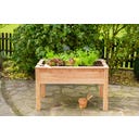 Westmann Stelzenhochbeet Emily ohne Boden - 1 Stk