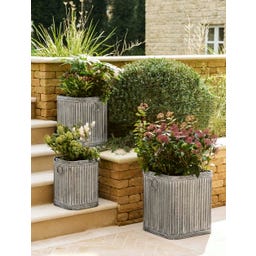 Garden Trading Fyrkantig Växtkruka 
