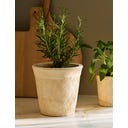 Garden Trading Cvetlični lonec 