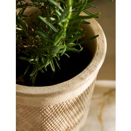 Garden Trading Cvetlični lonec 