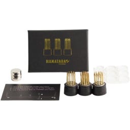 Hanataba Blumensteckhilfe mini magnetisch - 1 Set