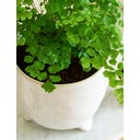 Garden Trading Doniczka Positano, biała - 13,5 cm