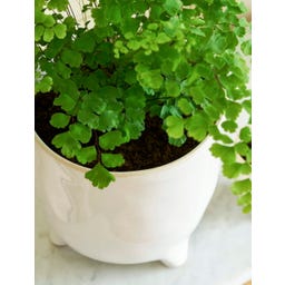 Garden Trading Doniczka Positano, biała - 13,5 cm