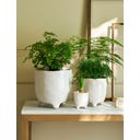 Garden Trading Doniczka Positano, biała - 13,5 cm