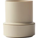 Brainstream Billund - Vaso Autoirrigante - Cumino