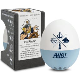 Brainstream Ahoi PiepEi