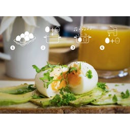 Brainstream Eggsercise PiepEi