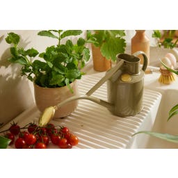 HAWS Annaffiatoio da Interno - Classic, 1 L - Lichen Green