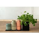 Brainstream Billund - Macina Noce Moscata