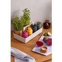 Brainstream Billund - Macinaspezie 12 cm