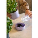 Brainstream Billund - Vaso Autoirrigante