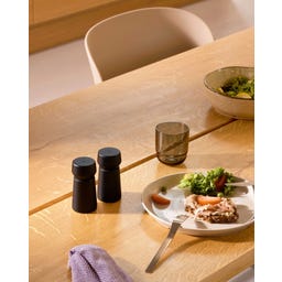 Brainstream Amsterdam - Set di 2 Macinaspezie - Nero