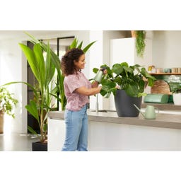 elho brussels Vattenkanna - 1,8 l - laubgrön