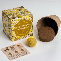 resetea Alles Gute zum Geburtstag - Anzuchtset