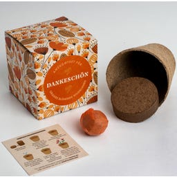 resetea Dankeschön - Anzuchtset