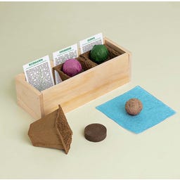 resetea Gin Tonic - Anzuchtset