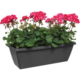 elho barcelona trough, 70 cm - Antracite