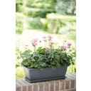 elho barcelona trough, 70 cm - Antracite