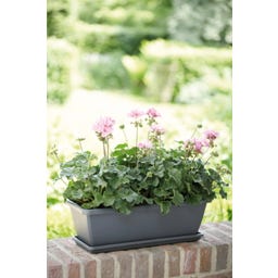 elho barcelona trough, 70 cm - Antracite