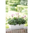 elho barcelona trough, 70 cm - Bianco