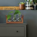 Winkee Hydro Vase Blossom - 1 Stk