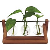 Winkee Hydro Vase Blossom