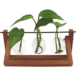 Winkee Hydro Vase Blossom - 1 Stk