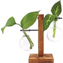 Winkee Hydro Vase Fleur - 1 Stk