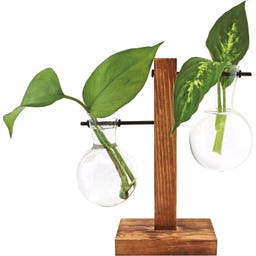 Winkee Hydro Vase Fleur - 1 Stk