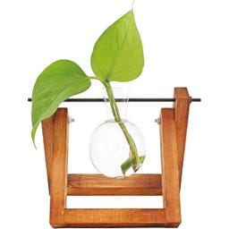 Winkee Hydro Vase Lilly - 1 kos
