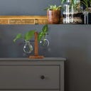 Winkee Hydro Vase Fleur - 1 Stk