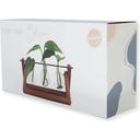 Winkee Hydro Vase Blossom - 1 Stk