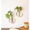 Winkee Wand Vase Dahlia, 2er Set - 1 Stk