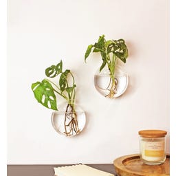 Winkee Wand Vase Dahlia, 2er Set - 1 Stk