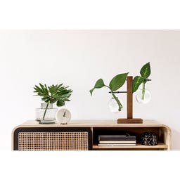 Winkee Hydro Vase Fleur - 1 Stk