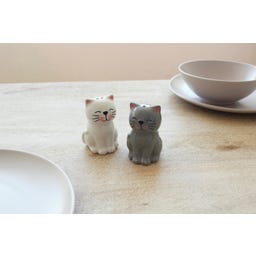 Winkee Katzen Salz- und Pfefferstreuer - 1 Stk