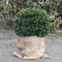 Esschert Design Jute Pflanzensack - S