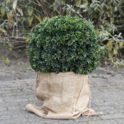 Esschert Design Jute Pflanzensack - S