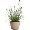 elho Pflanztopf sereh rund 60 cm - kühler Ton