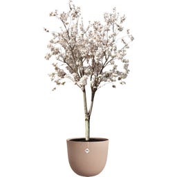 elho Pflanztopf sereh rund 60 cm - kühler Ton