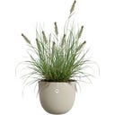 elho sereh Planter, round 60 cm - 