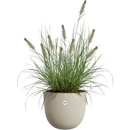 elho sereh Planter, round 60 cm - 