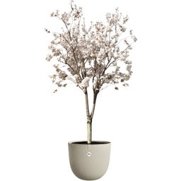 elho sereh Planter, round 60 cm - 