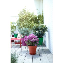 Pflanzgefäß loft urban rund mit Rollen 50 cm - ocker