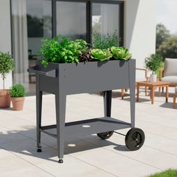 Westmann Hochbeet Mobila - 1 Stk