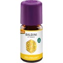 TAOASIS Baldini Duftmischung Feelfreude® - 5 ml