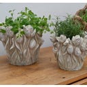 Miljögården Cache-Pot « Tulipes »