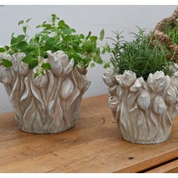 Miljögården Cache-Pot « Tulipes »