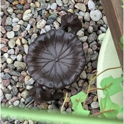 Miljögården Vogelbad Frösche